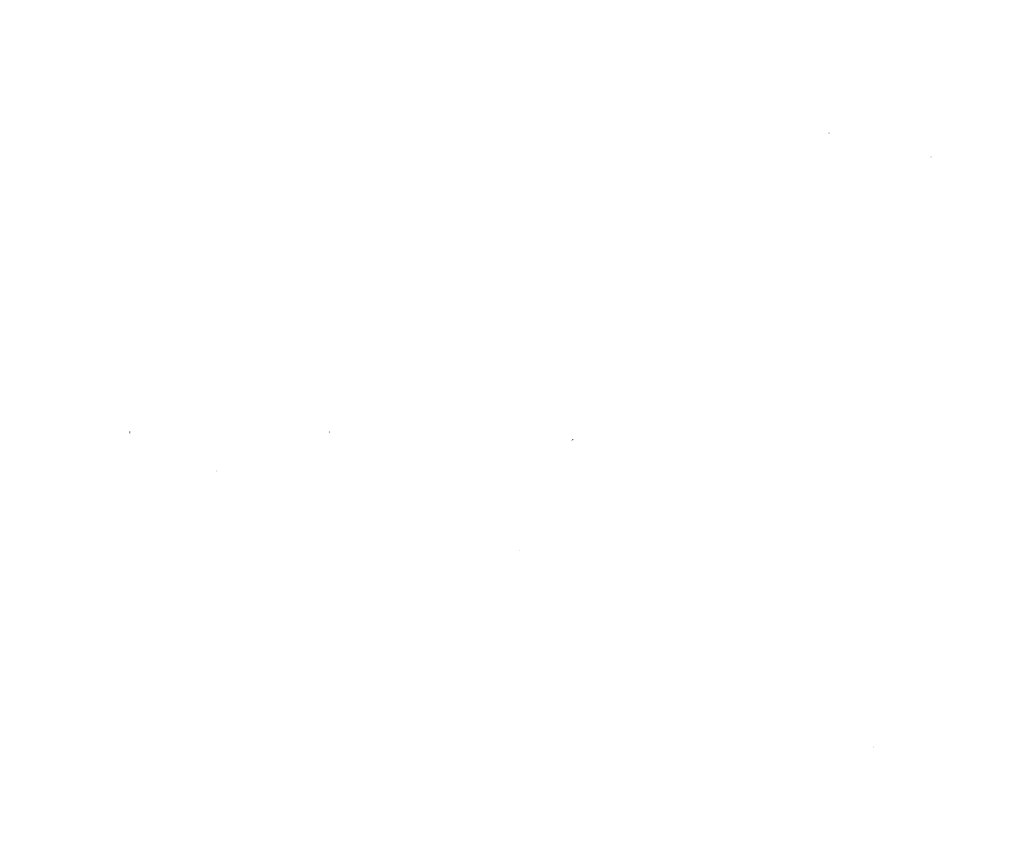 logo lyon Mag